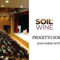 Presentation of the first results of the Soil4Wine LIFE + project at ENOFORUM 2019