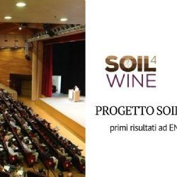 Presentacin de los primeros resultados del proyecto Soil4Wine LIFE+ en ENOFORUM 2019