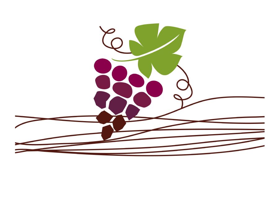 LIFE ZEOWINE LOGO 06