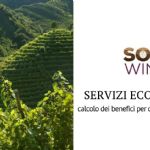 The enhancement of ecosystem services in the Soil4Wine project