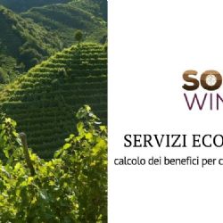 The enhancement of ecosystem services in the Soil4Wine project