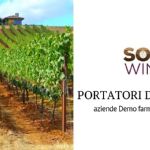 Participación de los grupos de interés: experiencias del proyecto Soil4Wine LIFE +