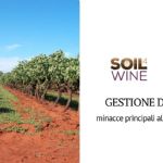 Managing and protecting soil in the vineyard: experience of the Soil4Wine LIFE+ project