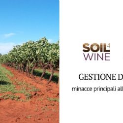 Gestire e tutelare il suolo in vigneto: lesperienza del progetto Soil4Wine LIFE+