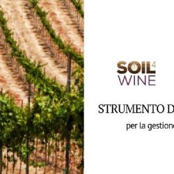 An innovative and interactive tool for soil management in viticulture