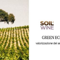Wine for soil: an example of a green economy