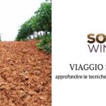 In-depth study of soil management techniques in Provence and Rhône Valley