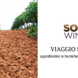 Viaje de estudio Soil4Wine