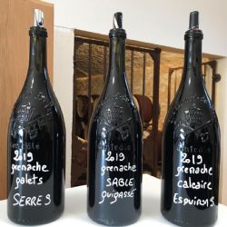 Degustación de vinos de uvas de garnacha procedentes de los tres diferentes tipos de suelo