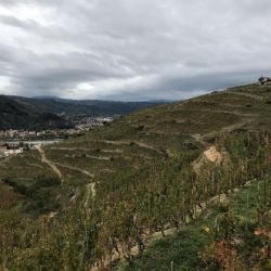Les pentes abruptes de la colline de l'Hermitage 