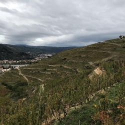 Los pendientes de la colina de la Ermita