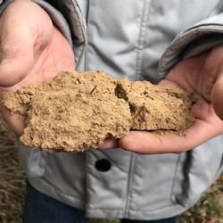 The soil texture of the Hermitage vineyards