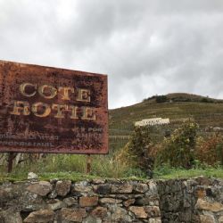 The vineyards of Domaine Guigal in Ampuis