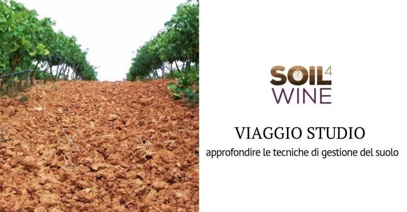 Viaje de estudio Soil4Wine