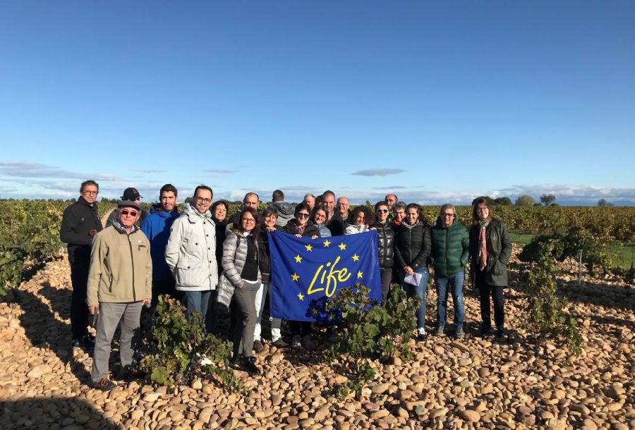 Foto del grupo en el característico viñedo de Châteauneuf-du-Pape  