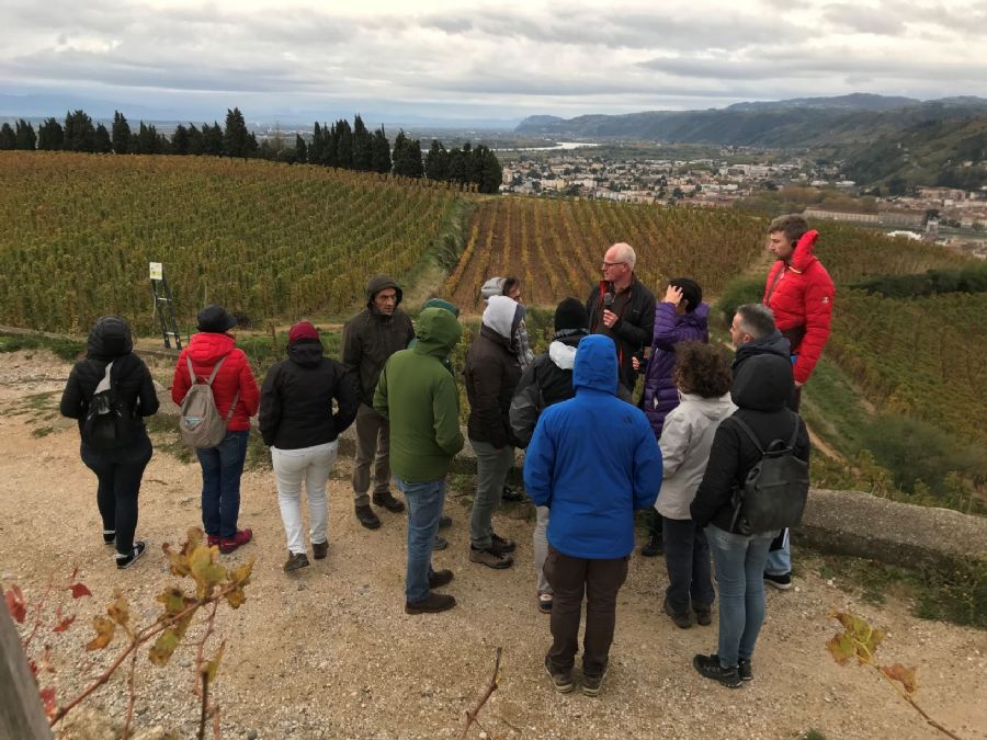 Daniel Brissot, the agronomist of the Cave de Tain winery, presents the main characteristics of the Hermitage terroir to the group