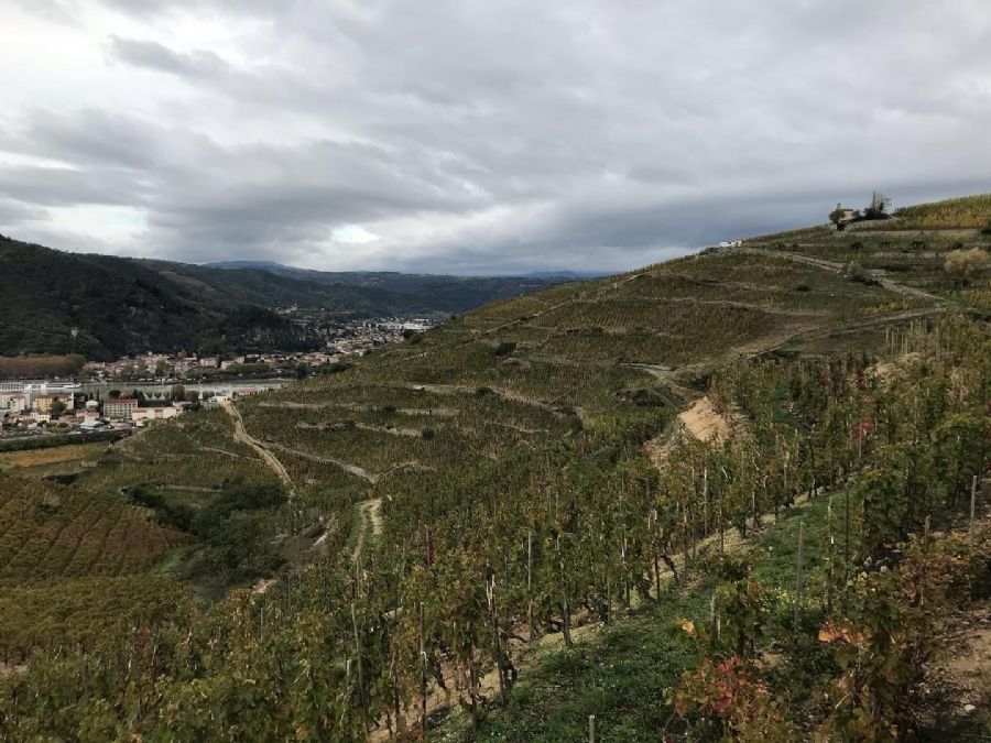 Los pendientes de la colina de la Ermita 