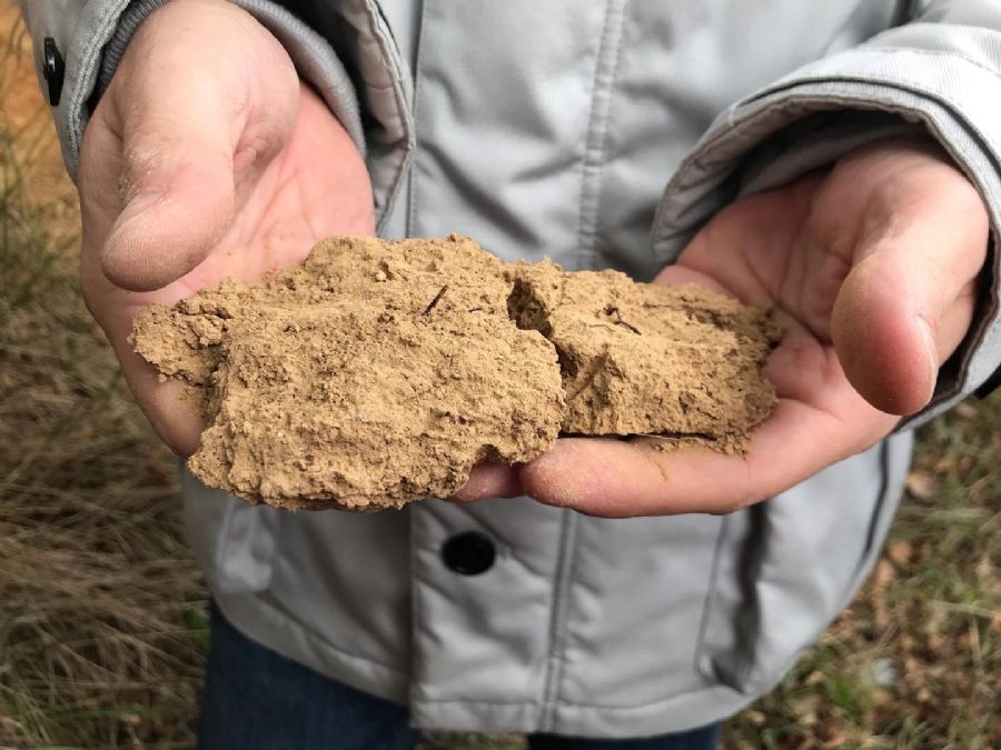 The soil texture of the Hermitage vineyards