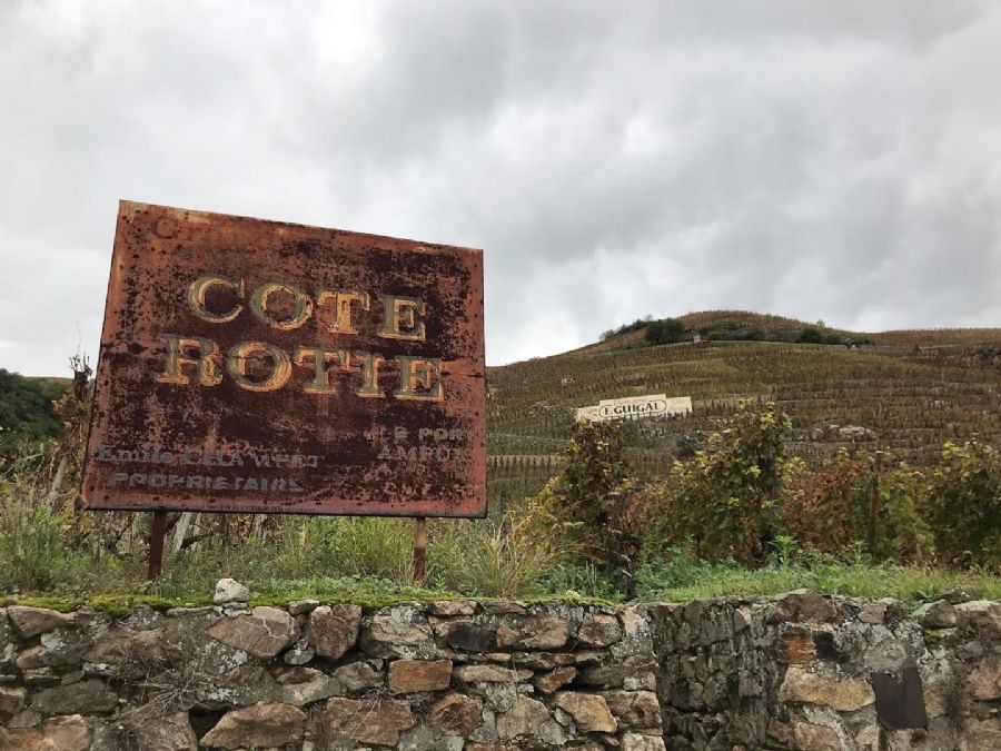 The vineyards of Domaine Guigal in Ampuis