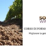 Tools and opportunities to improve soil management in viticulture