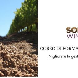 Tools and opportunities to improve soil management in viticulture