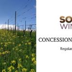 Granting of the SOIL4WINE logo to wineries producing wine using grapes grown with sustainable management protocols