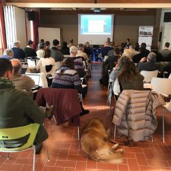 Innovative approach to soil management in the vineyard landscape